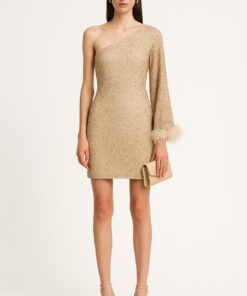 Φόρεμα με έναν ώμο με χρυσά τρουξ και πούπουλο στο μανίκι